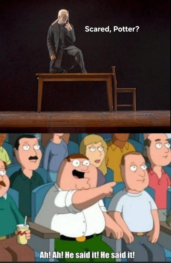 Memes For ''Harry Potter'' Fans (20 pics)