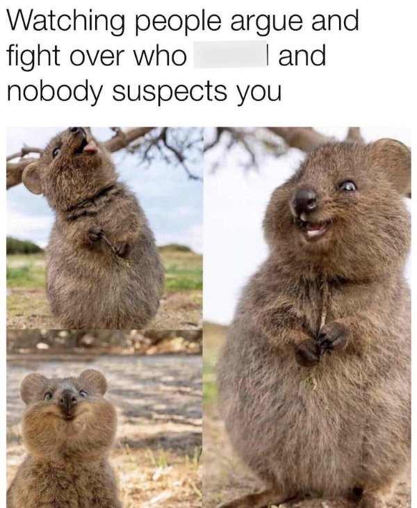 Random Jokes (35 pics)