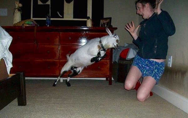 Right Moment (36 pics)