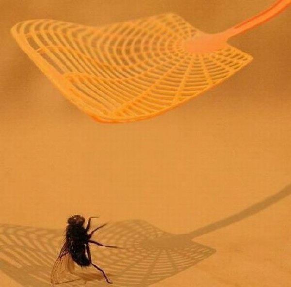 Right Moment (36 pics)