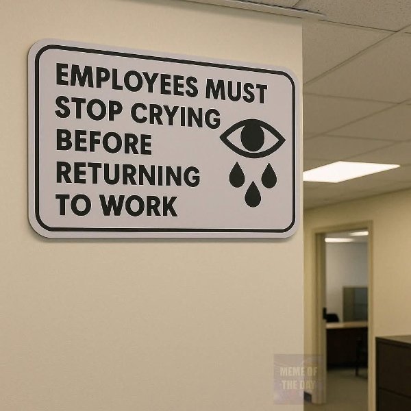 Work Memes (18 pics)