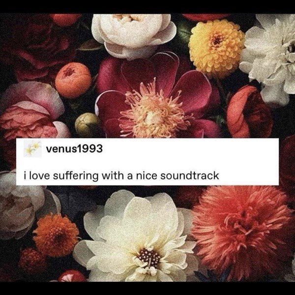 Random Jokes (35 pics)