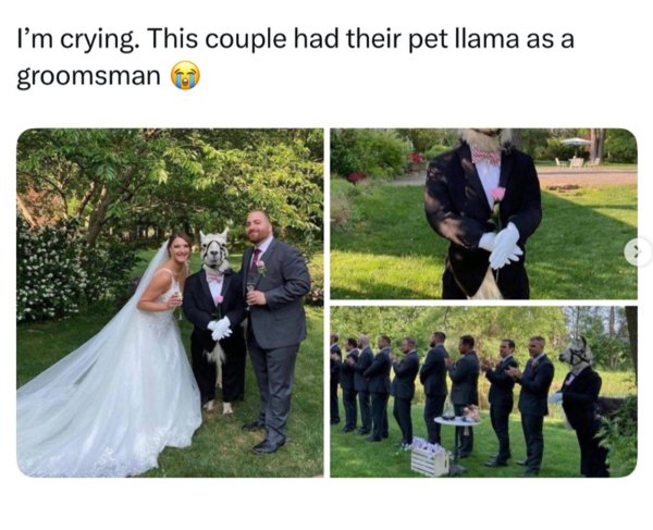 Random Jokes (35 pics)