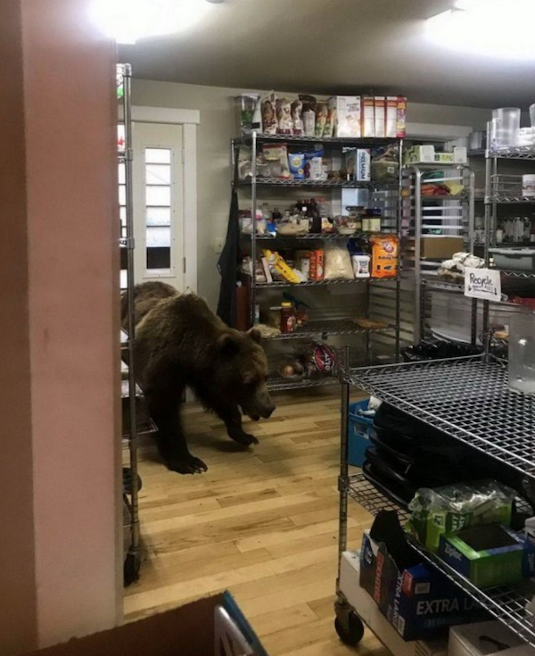 Right Moment (36 pics)