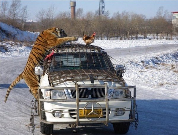 Right Moment (36 pics)