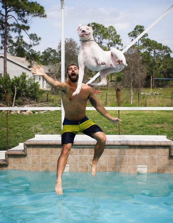 Right Moment (36 pics)