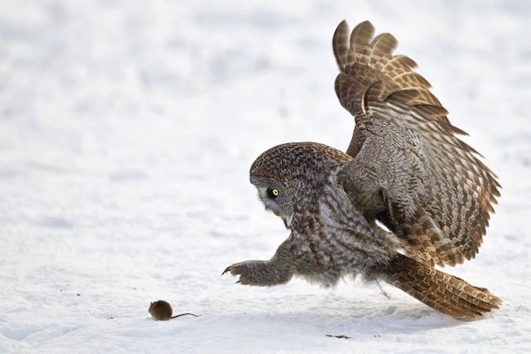 Right Moment (36 pics)