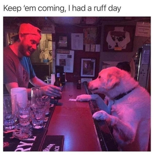 Random Jokes (35 pics)