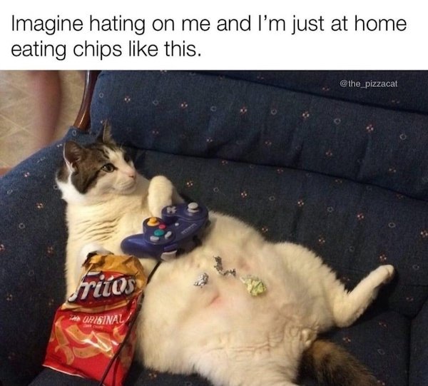 Funny Memes (31 pics)