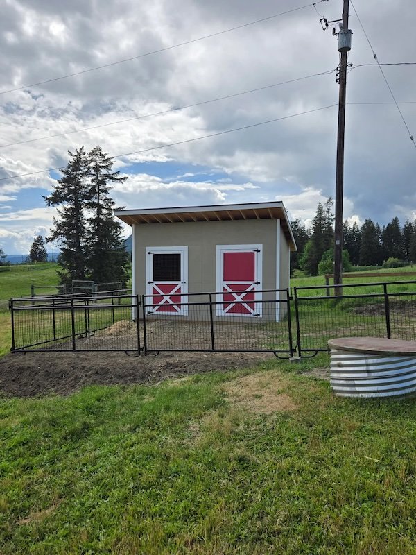 Cool Backyard Sheds (20 pics)
