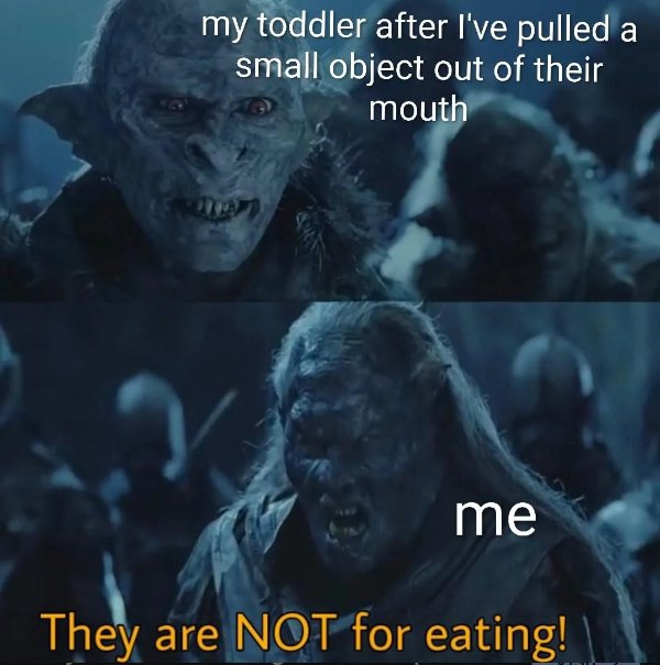 Memes For ''The Lord Of The Rings'' Fans (25 pics)