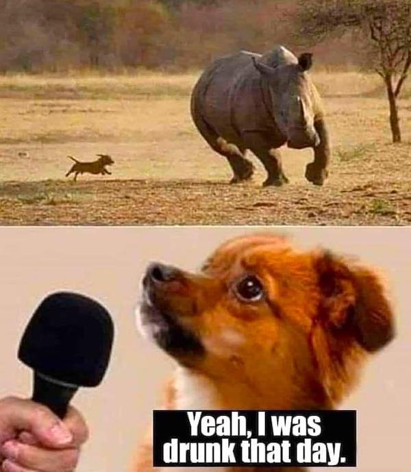 Funny Memes (31 pics)