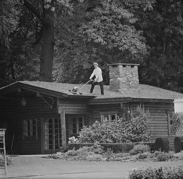 What Is Going On Here? (48 pics) What Is Going On Here? (48 pics)