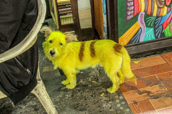 What Is Going On Here? (48 pics) What Is Going On Here? (48 pics)