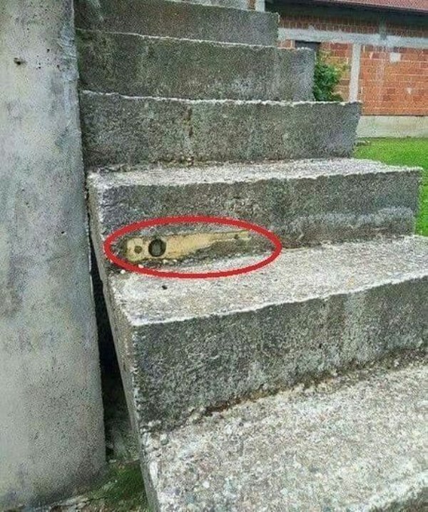 Strange Finds And Situations (24 pics)