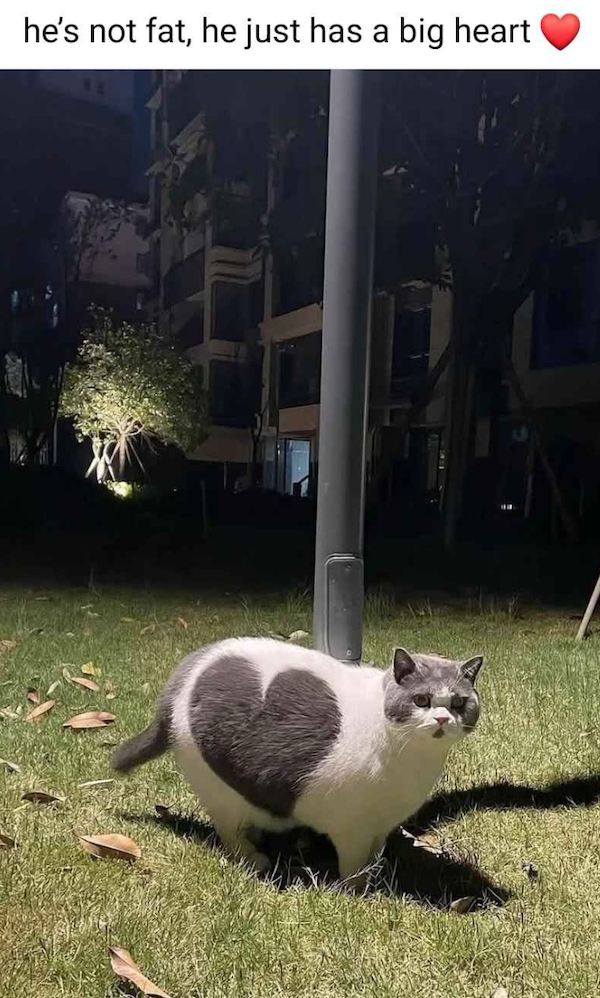 Funny Memes (22 pics) Funny Memes (22 pics)