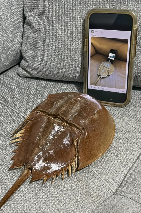 What Is Going On Here? (48 pics) What Is Going On Here? (48 pics)