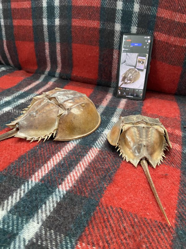 What Is Going On Here? (48 pics) What Is Going On Here? (48 pics)