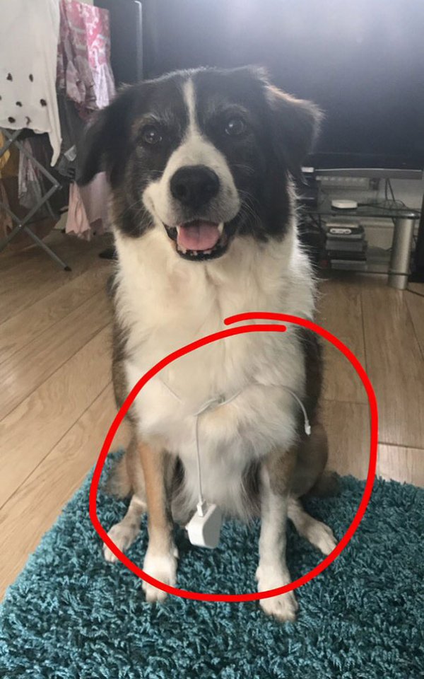 Interesting Finds And Discoveries (29 pics)