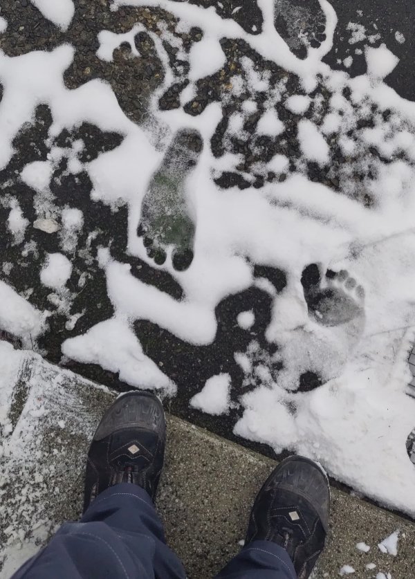 What Is Going On Here? (48 pics) What Is Going On Here? (48 pics)