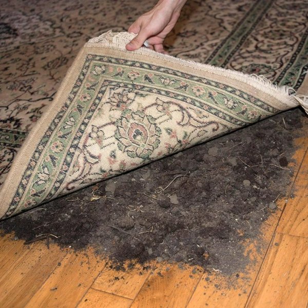 What Is Going On Here? (48 pics) What Is Going On Here? (48 pics)