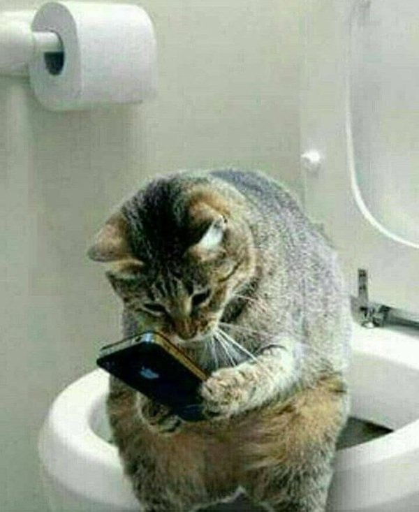 Bad Habits (11 pics) Bad Habits (11 pics)