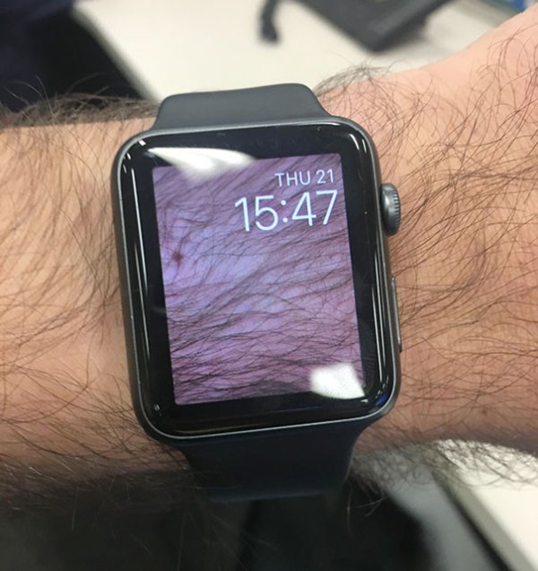 Interesting Finds And Discoveries (29 pics)