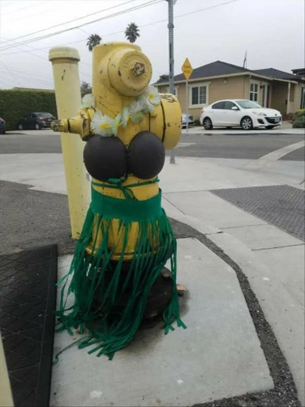 What Is Going On Here? (48 pics) What Is Going On Here? (48 pics)