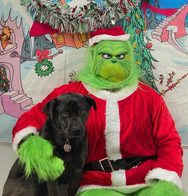 What Is Going On Here? (48 pics) What Is Going On Here? (48 pics)