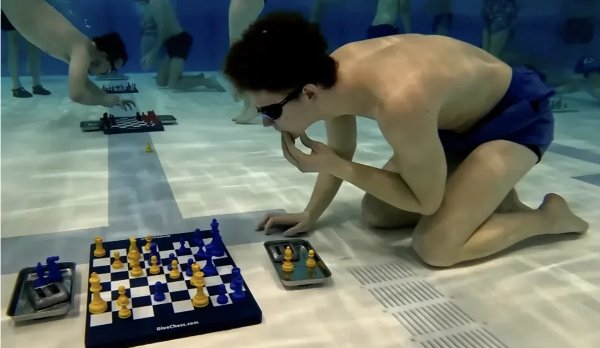 What Is Going On Here? (48 pics) What Is Going On Here? (48 pics)