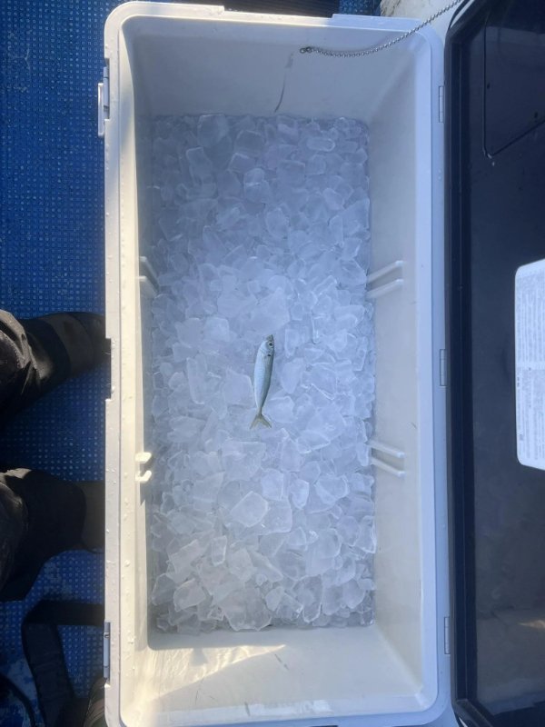 What Is Going On Here? (48 pics) What Is Going On Here? (48 pics)