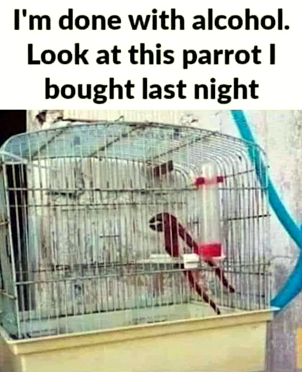 Funny Memes (22 pics) Funny Memes (22 pics)