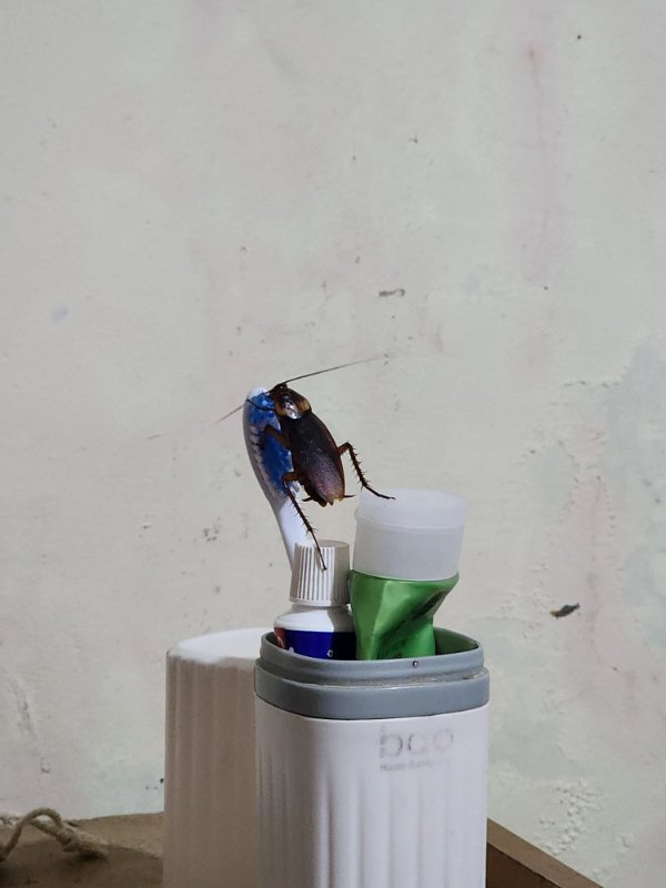 Bad Days Happen (24 pics)