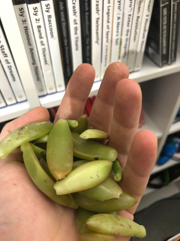 Bad Days Happen (24 pics)