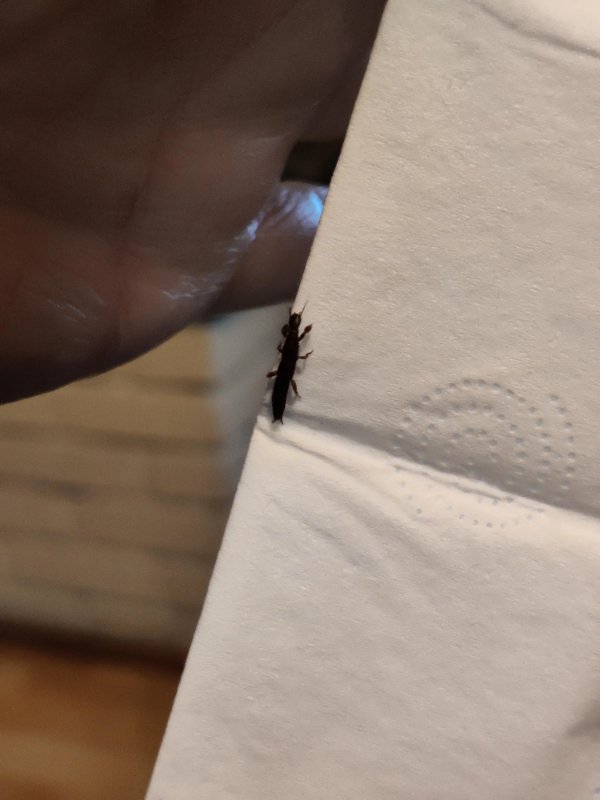 Bad Days Happen (24 pics)