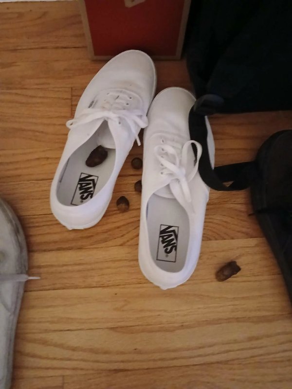 Bad Days Happen (24 pics)