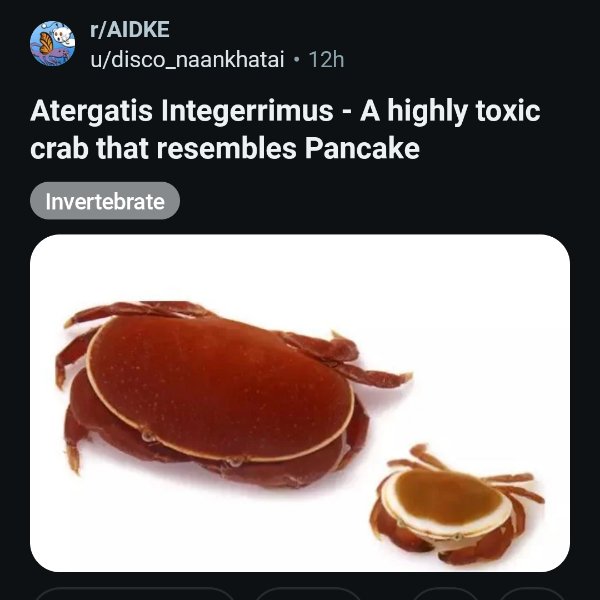 Appetizing But Inedible (26 pics)