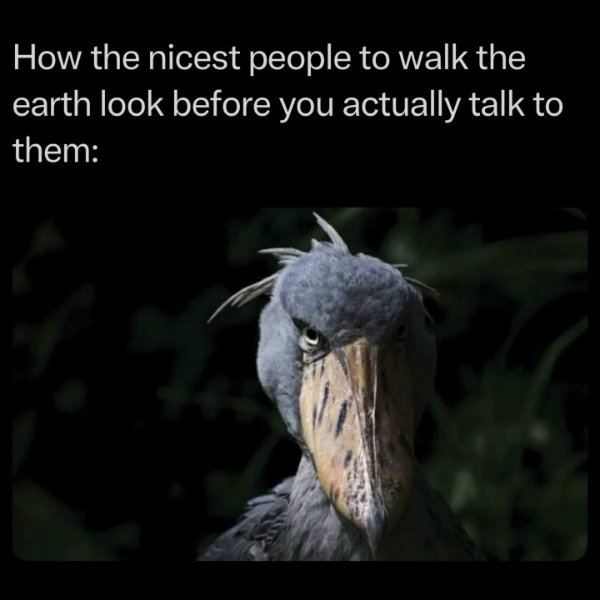 Funny Memes (26 pics)