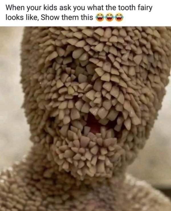 Funny Memes (26 pics)