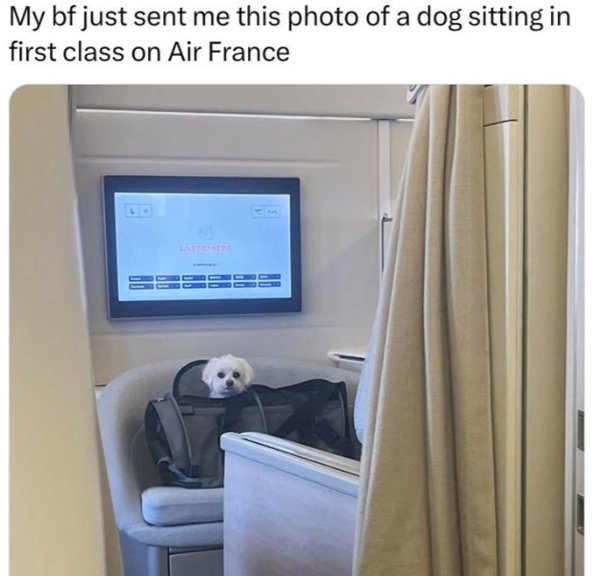 Kind Memes (37 pics) Kind Memes (37 pics)