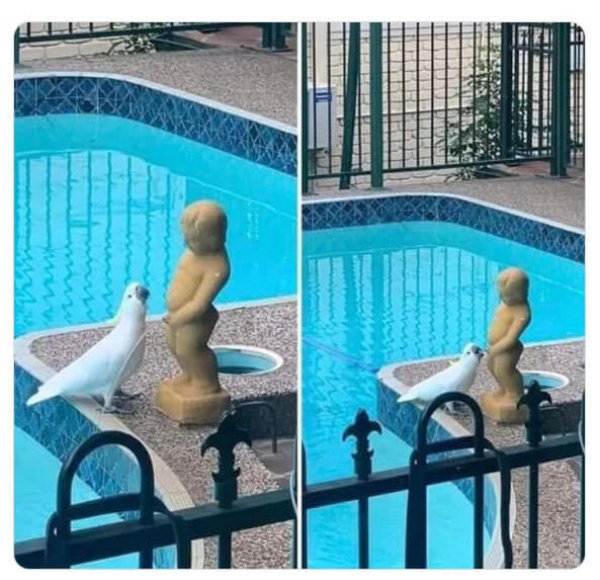 Joeks And Photos For A Good Mood (28 pics) Joeks And Photos For A Good Mood (28 pics)