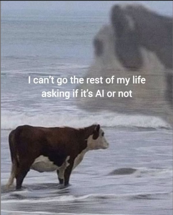 Random Memes (35 pics)