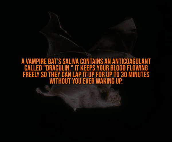 Creepy Facts (13 pics)