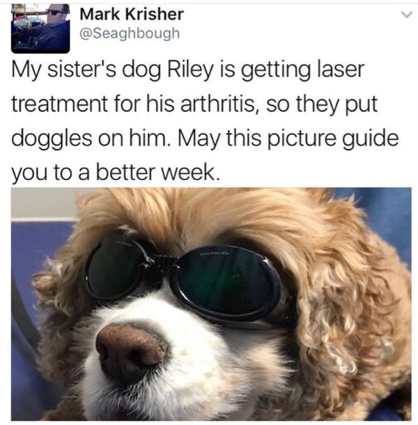 Kind Memes (37 pics) Kind Memes (37 pics)