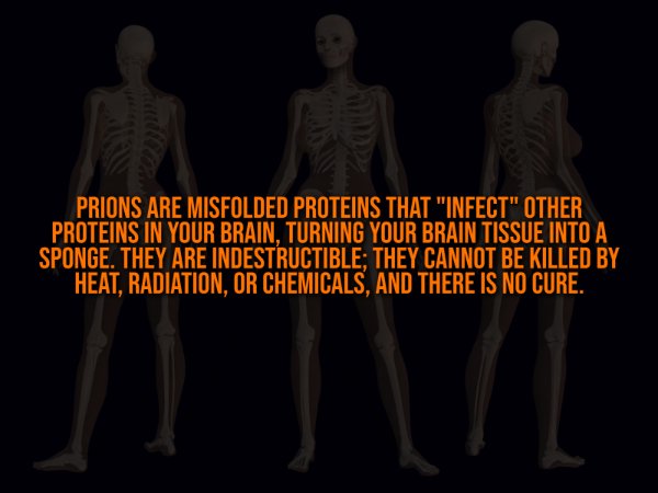 Creepy Facts (13 pics)