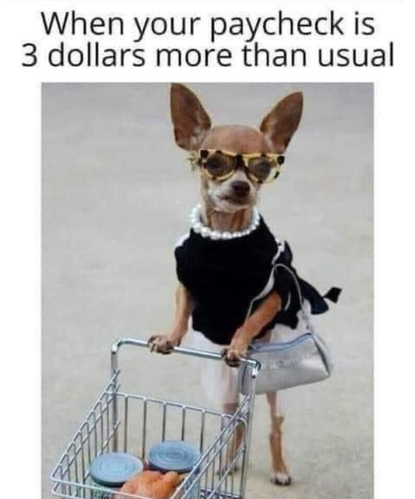 Random Memes (35 pics)