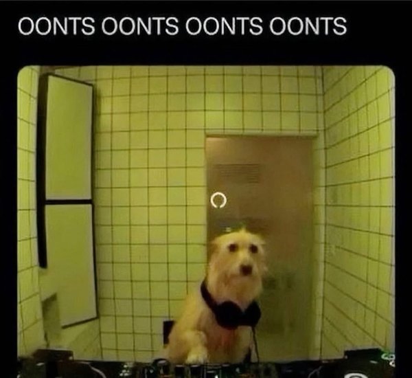 Funny Memes (26 pics)