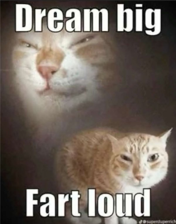 Joeks And Photos For A Good Mood (28 pics) Joeks And Photos For A Good Mood (28 pics)