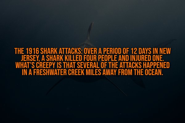 Creepy Facts (13 pics)