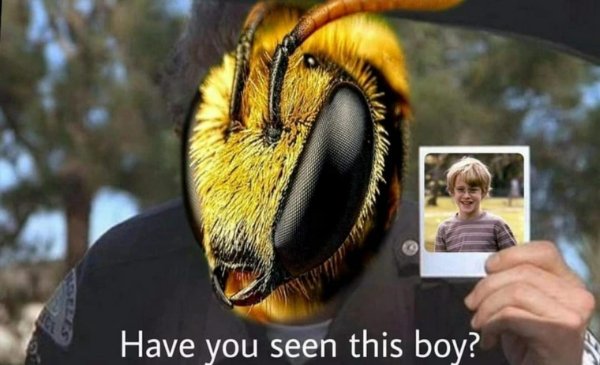 Random Memes (35 pics)